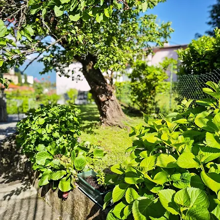 Pianoforte Giardino * Граведона